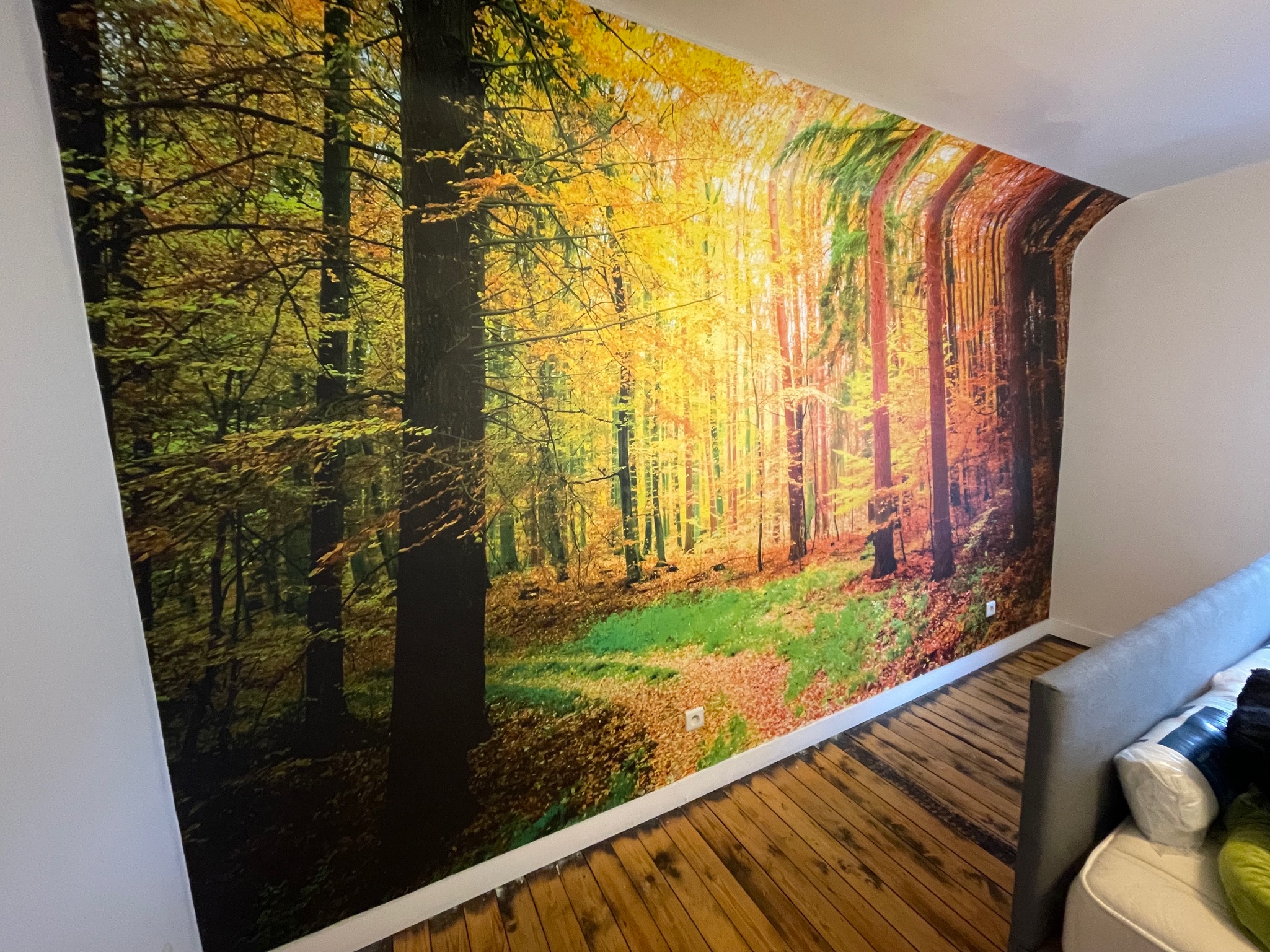 Bos fotomuur